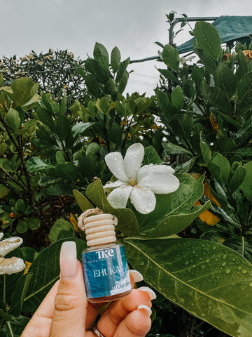 Ehukai Diffuser