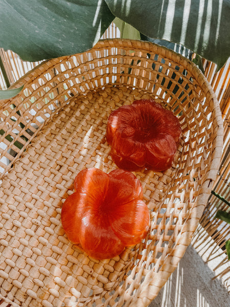 Hibiscus Palm